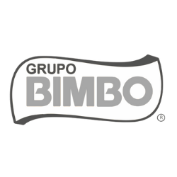 Proyecto nuevo (4)